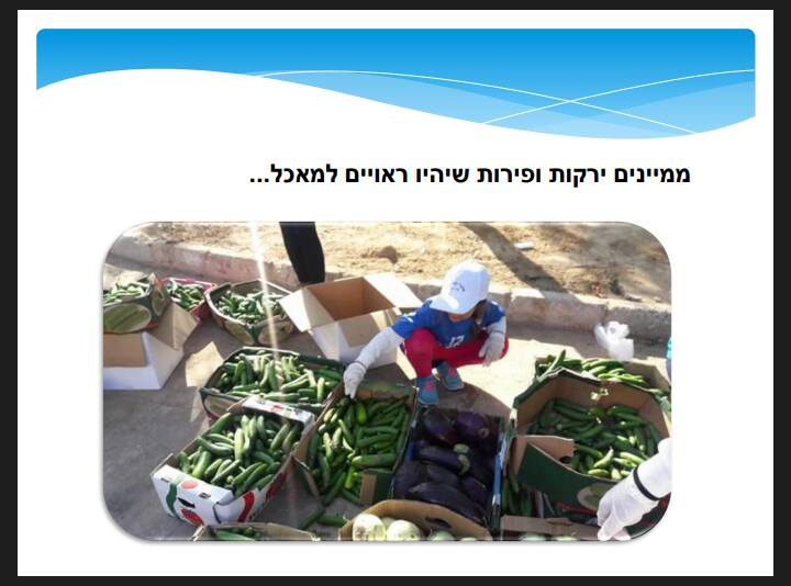 ילדים עם לב זהב, מתנדבים יחד עם אנשי קבוצת סל''ק (צילום: פייסבוק באר שבע ביחד)